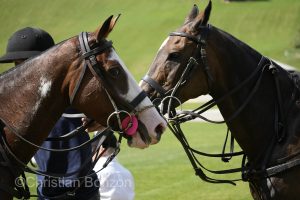 FETE CANTONALE VALAISANNEÊMORGINS(VS)