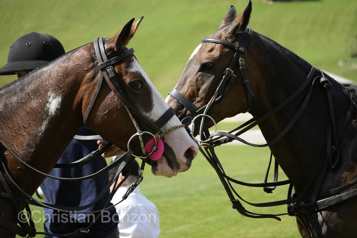 FETE CANTONALE VALAISANNEÊMORGINS(VS)