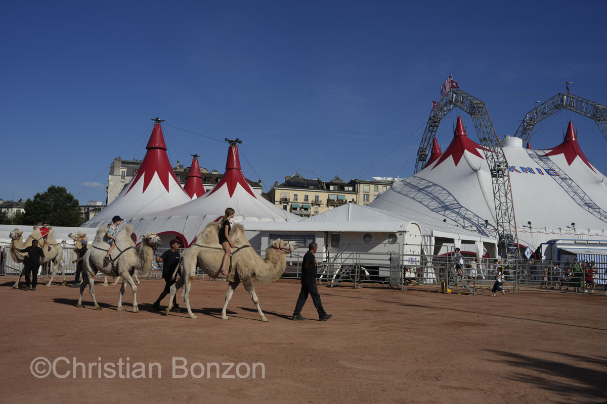 Cirque Knie 2023 (GE)