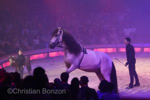 Cirque Knie 2023 (GE)