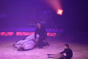 Cirque Knie 2023 (GE)