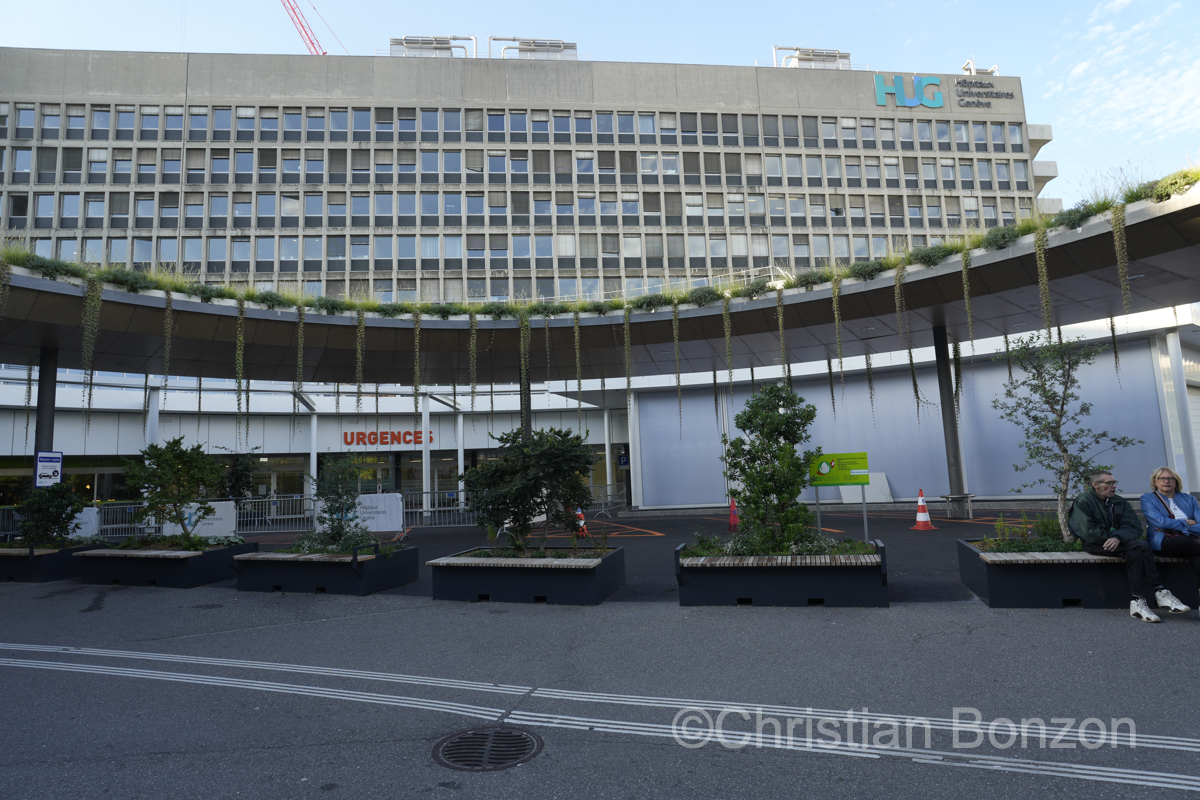 Air Mauritius  Geneve