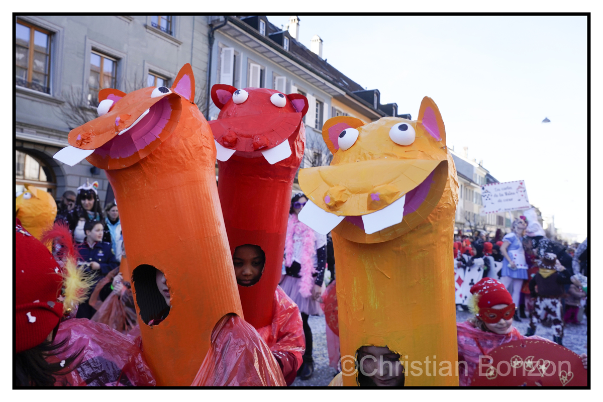 c arnaval_Bulle030