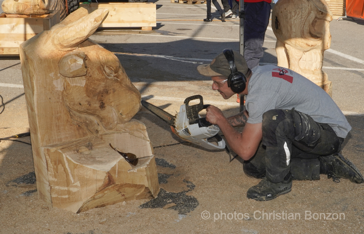 Concours cantonal de bucheronnage Bulle(FR)