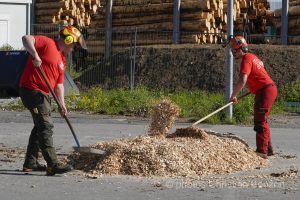 Concours cantonal de bucheronnage Bulle(FR)