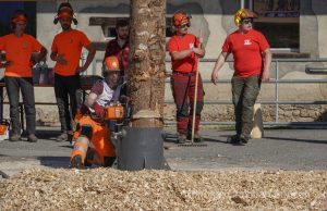 Concours cantonal de bucheronnage Bulle(FR)