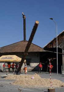 Concours cantonal de bucheronnage Bulle(FR)