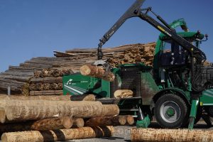 Concours cantonal de bucheronnage Bulle(FR)