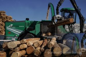 Concours cantonal de bucheronnage Bulle(FR)