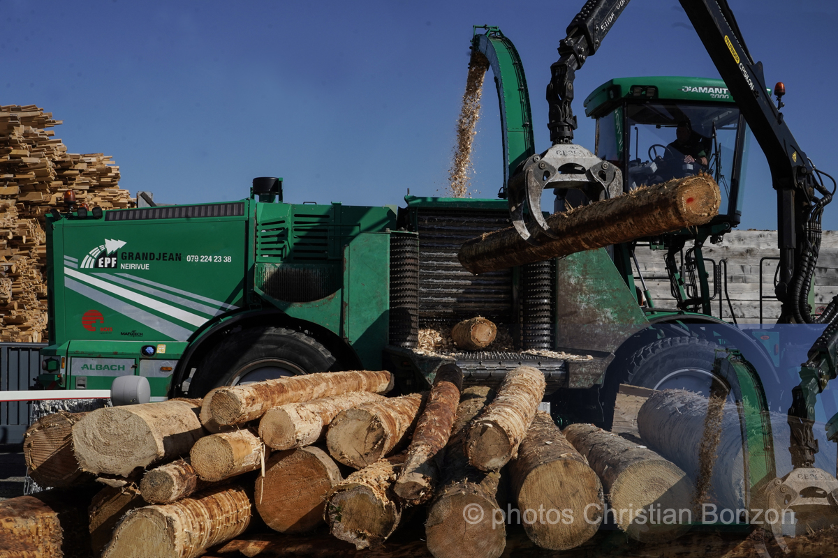 Concours cantonal de bucheronnage Bulle(FR)