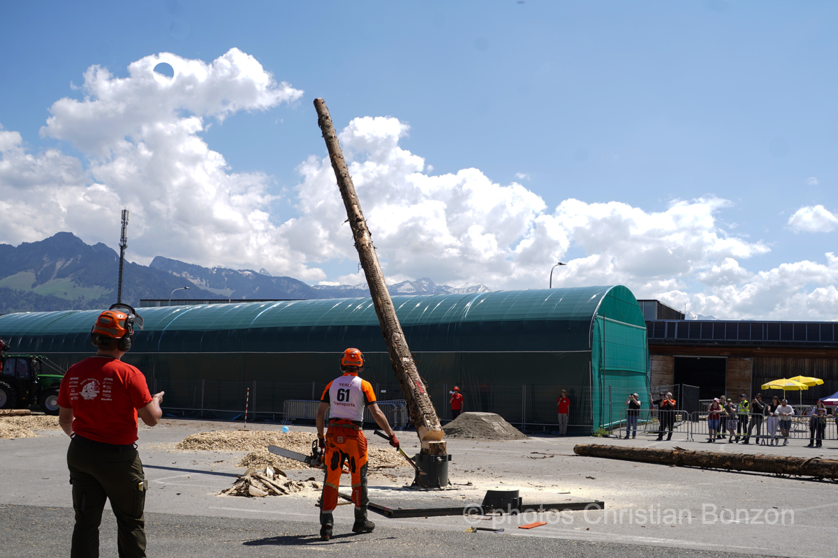 Concours cantonal de bucheronnage Bulle(FR)