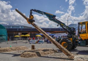 Concours cantonal de bucheronnage Bulle(FR)