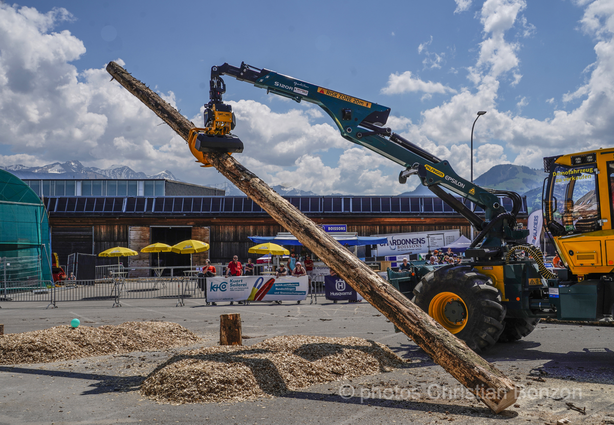 Concours cantonal de bucheronnage Bulle(FR)
