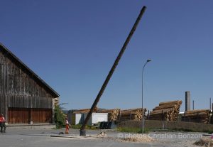 Concours cantonal de bucheronnage Bulle(FR)