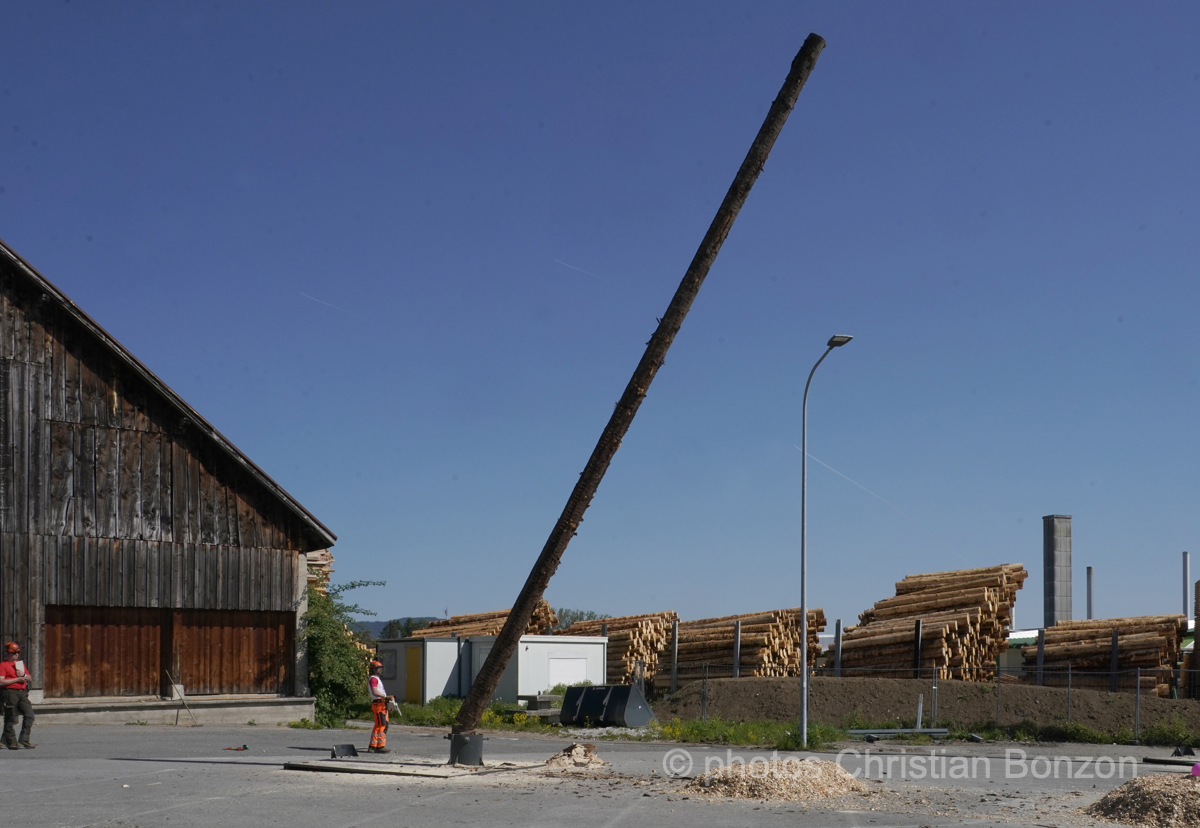 Concours cantonal de bucheronnage Bulle(FR)