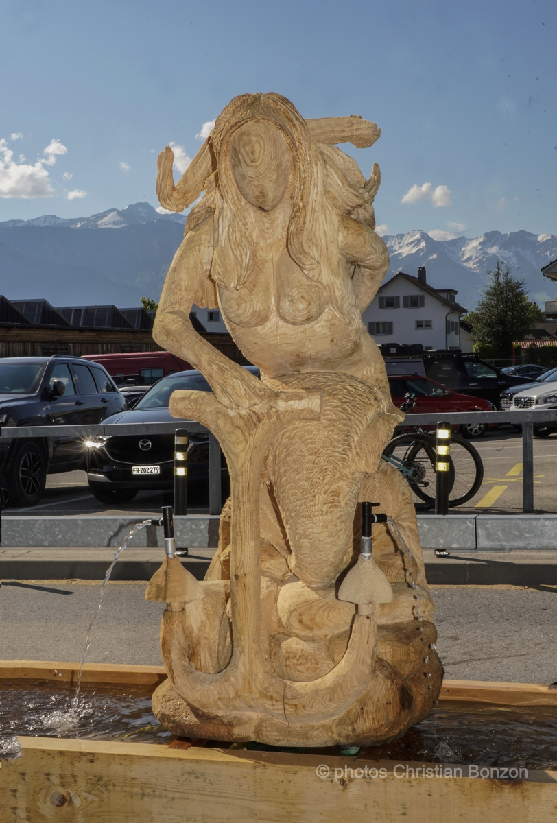 Concours cantonal de bucheronnage Bulle(FR)