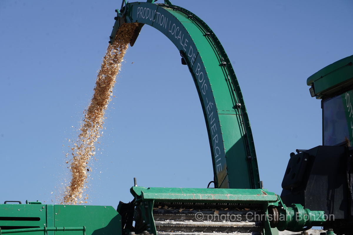 Concours cantonal de bucheronnage Bulle(FR)