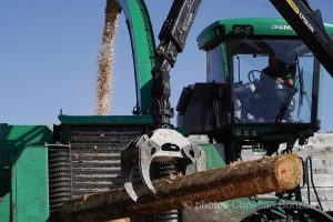 Concours cantonal de bucheronnage Bulle(FR)