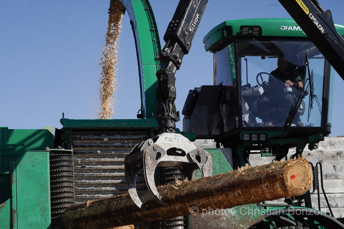 Concours cantonal de bucheronnage Bulle(FR)