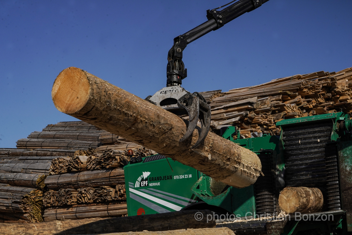 Concours cantonal de bucheronnage Bulle(FR)