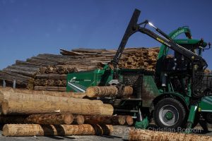 Concours cantonal de bucheronnage Bulle(FR)