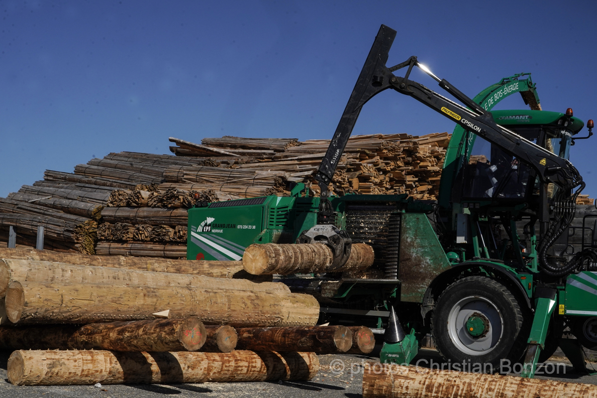 Concours cantonal de bucheronnage Bulle(FR)