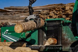 Concours cantonal de bucheronnage Bulle(FR)