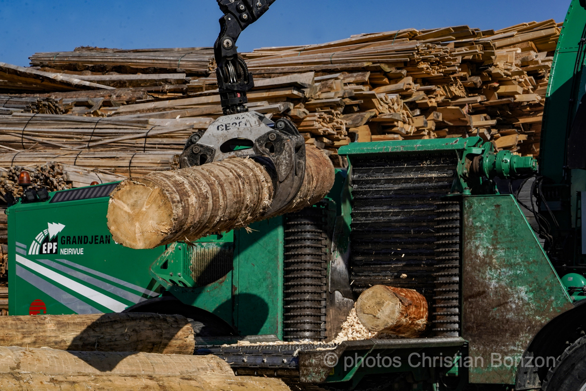 Concours cantonal de bucheronnage Bulle(FR)