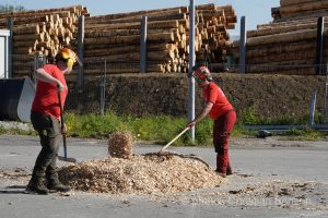 Concours cantonal de bucheronnage Bulle(FR)