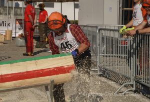 Concours cantonal de bucheronnage Bulle(FR)