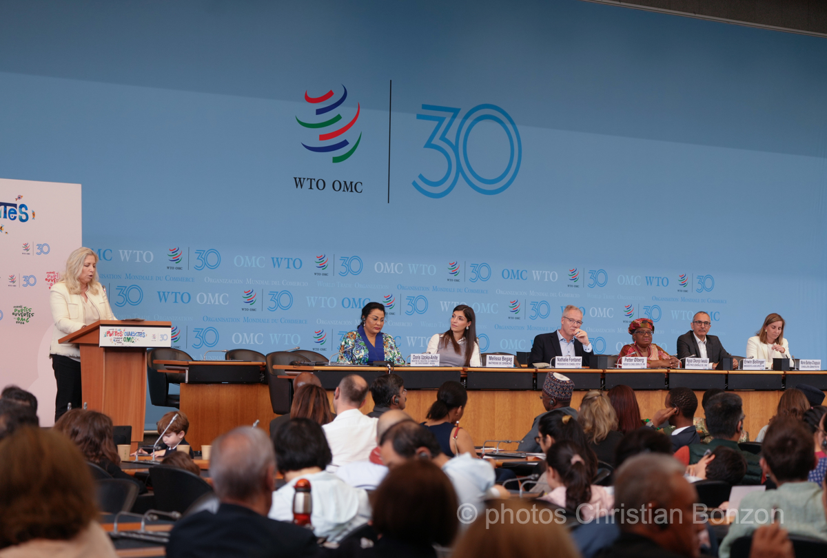 Portes ouvertes de lÕOMC dimanche 9 juin 2024 pour clbrer le 30me anniversaire de lÕOrganisation