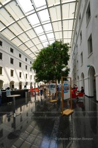 Portes ouvertes de lÕOMC dimanche 9 juin 2024 pour clbrer le 30me anniversaire de lÕOrganisation