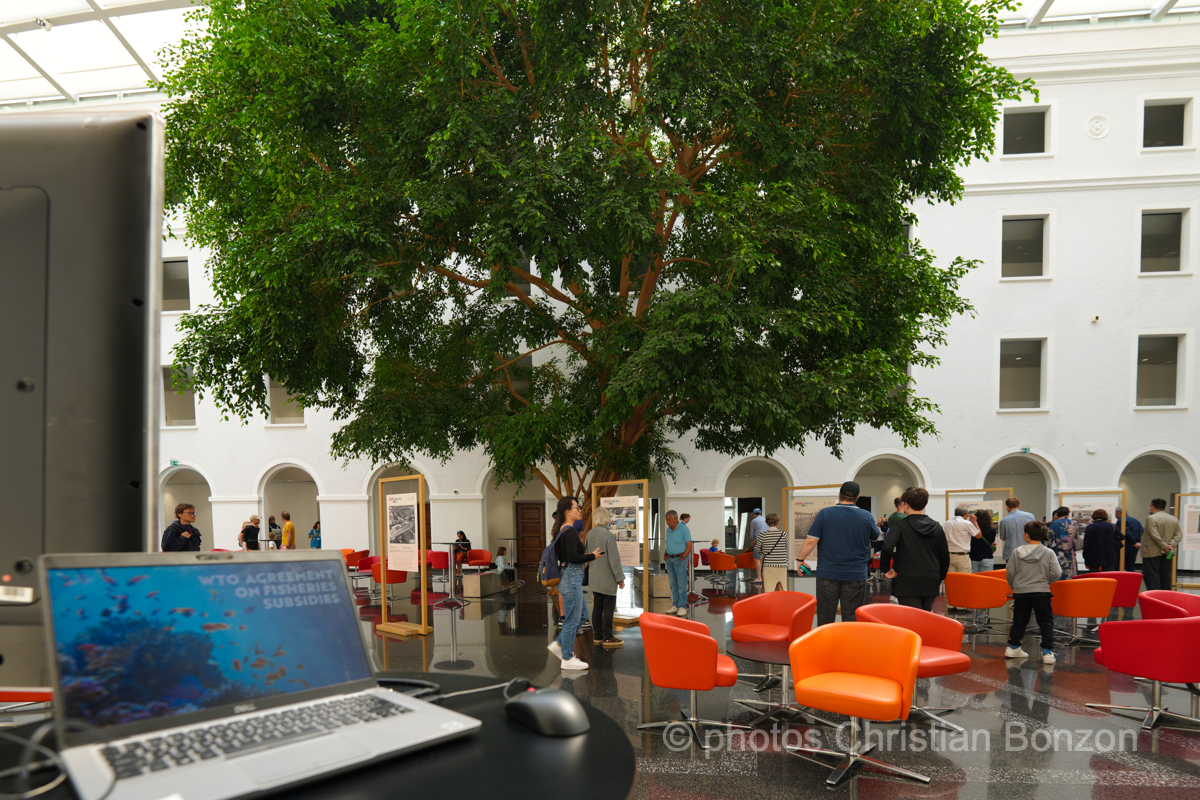 Portes ouvertes de lÕOMC dimanche 9 juin 2024 pour clbrer le 30me anniversaire de lÕOrganisation