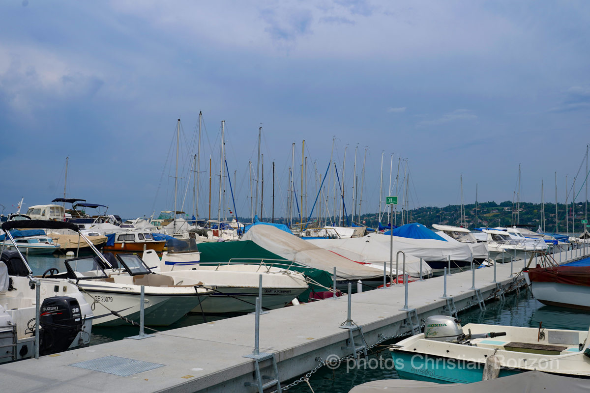 _DSC6755