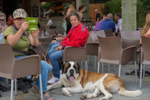 Saint_Bernard_cortege_Martigny001