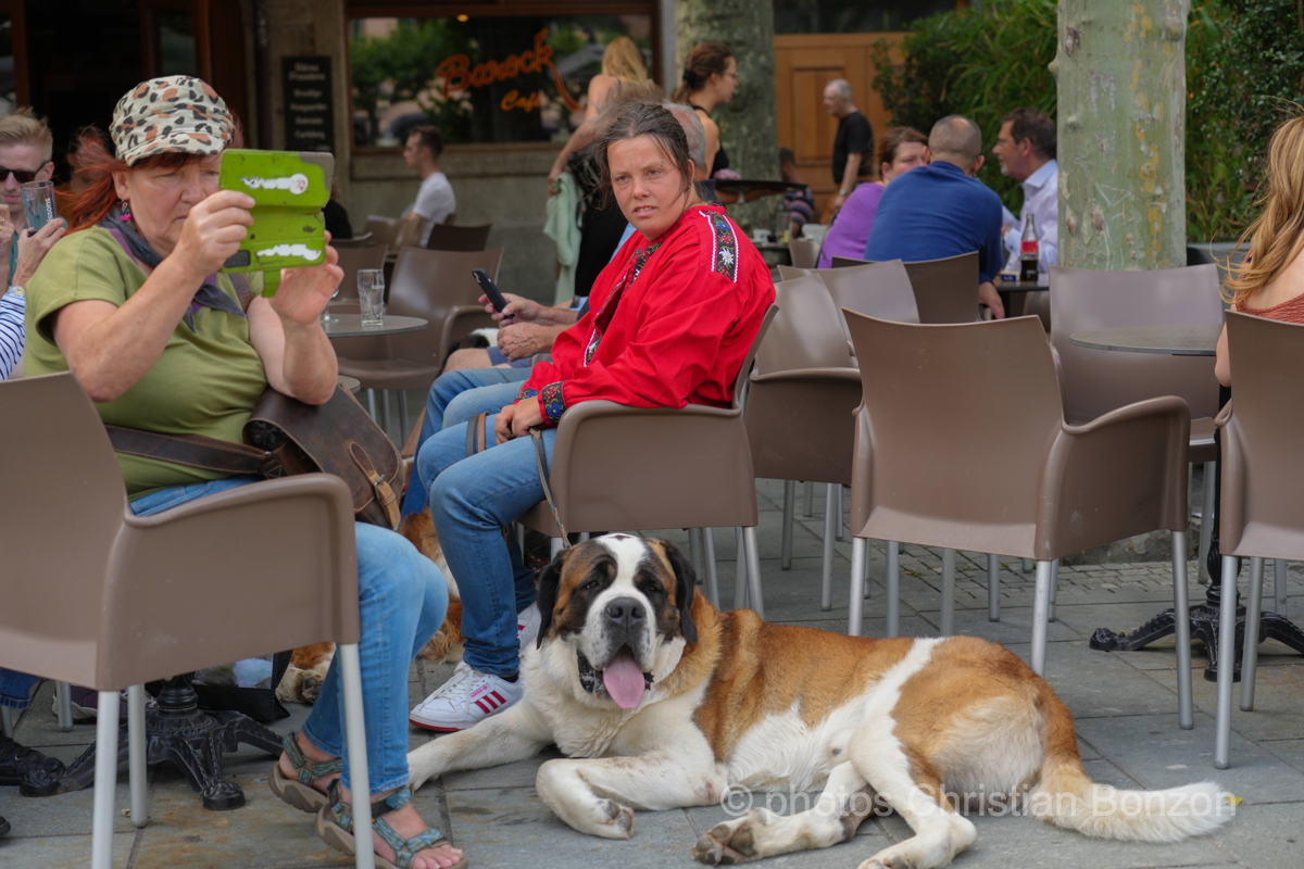 Saint_Bernard_cortege_Martigny001