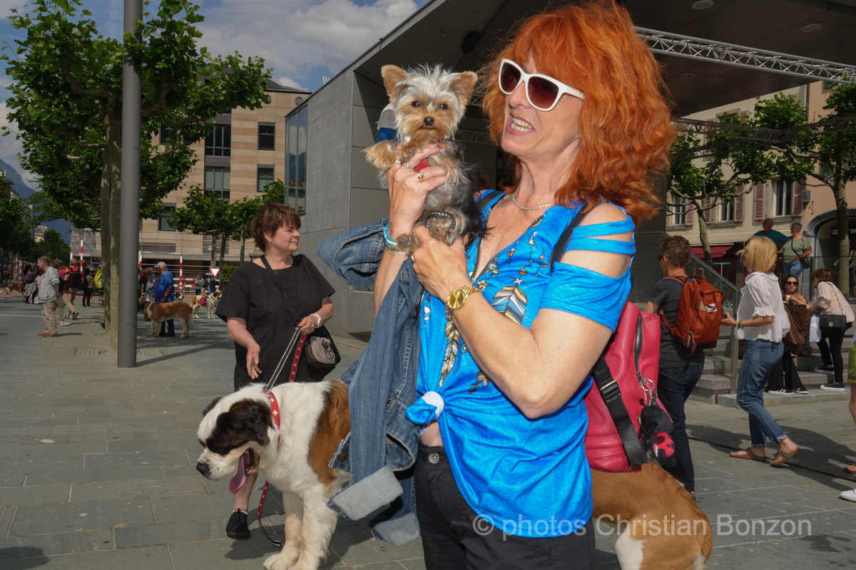 Saint_Bernard_cortege_Martigny002