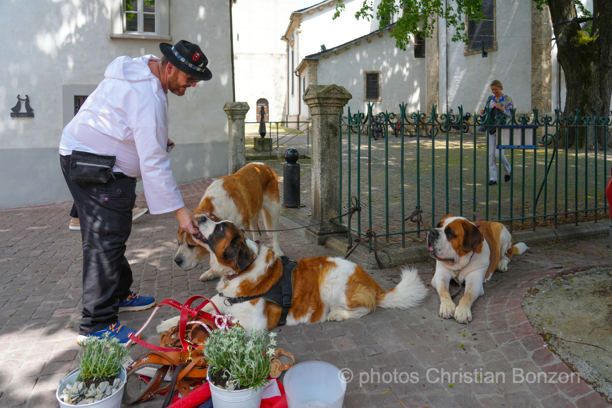 Saint_Bernard_cortege_Martigny005