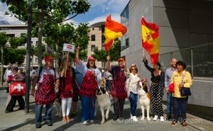 Saint_Bernard_cortege_Martigny006