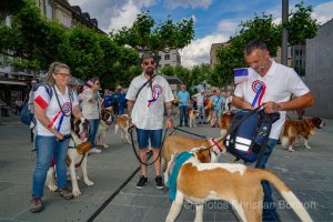 Saint_Bernard_cortege_Martigny009