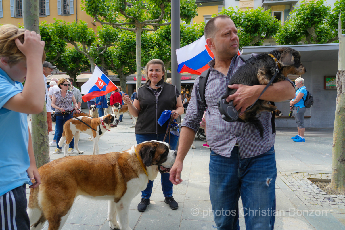 Saint_Bernard_cortege_Martigny011