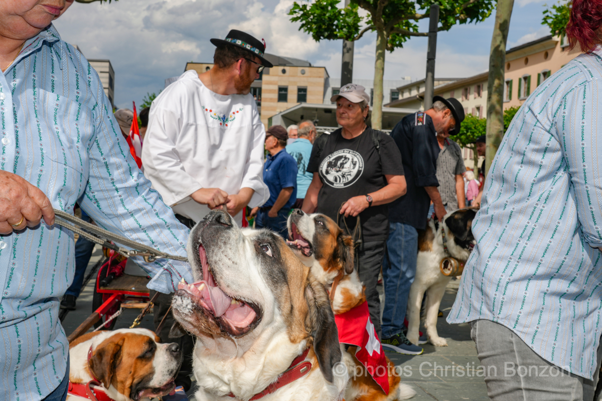Saint_Bernard_cortege_Martigny013