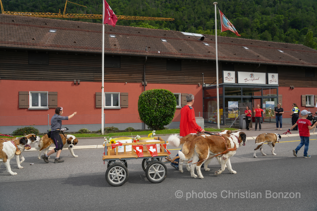 Saint_Bernard_cortege_Martigny019