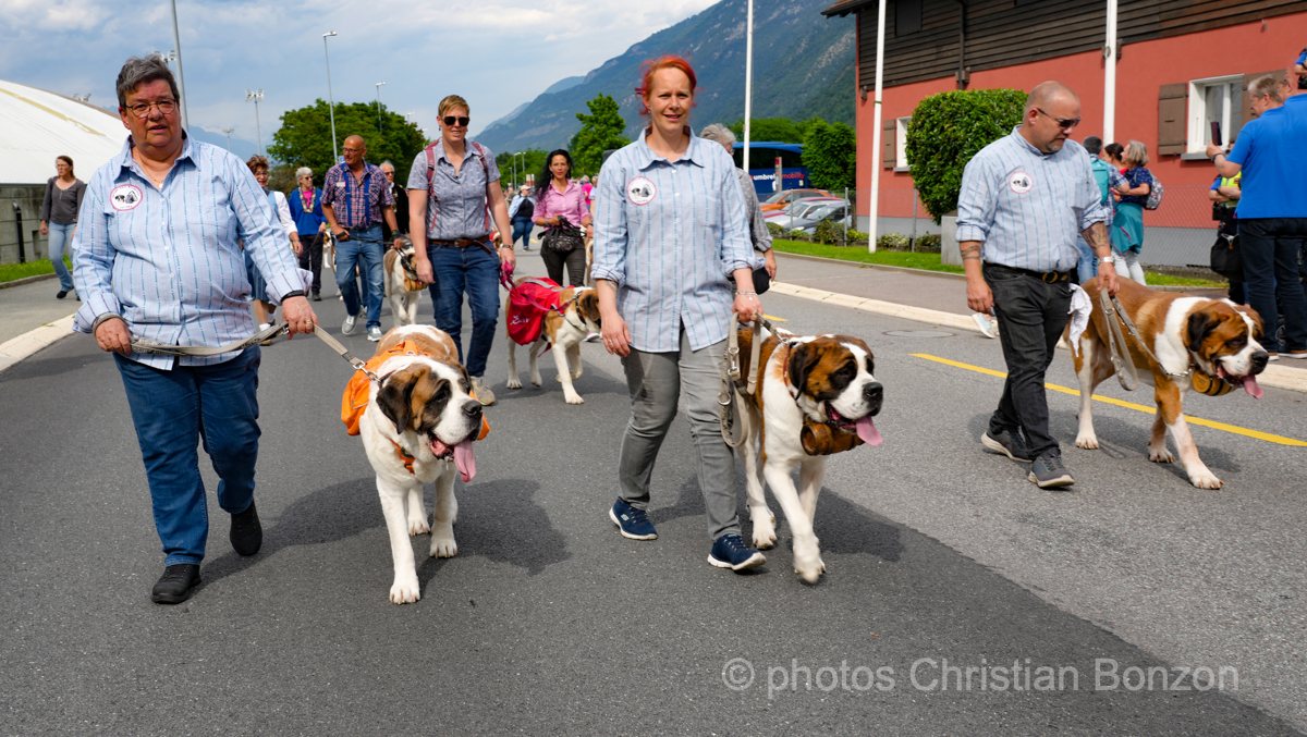 Saint_Bernard_cortege_Martigny022