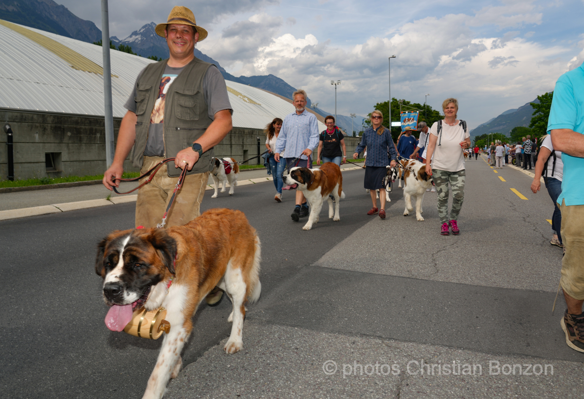 Saint_Bernard_cortege_Martigny024