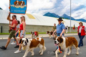 Saint_Bernard_cortege_Martigny027