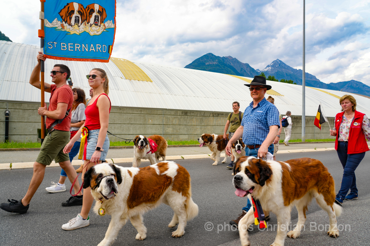 Saint_Bernard_cortege_Martigny027