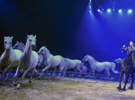 Cirque Knie première 2024 à Genève.