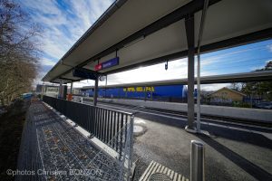 _DSC7145A