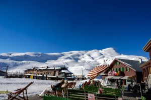 _DSC3585